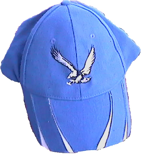 Sapca brodata